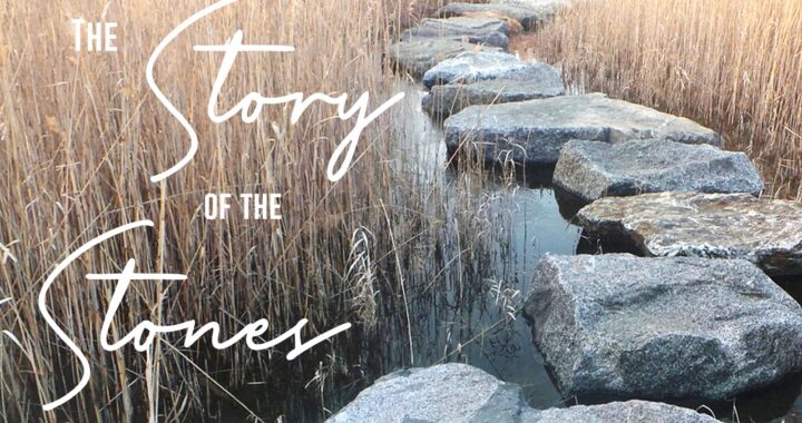 The Story of the Stones